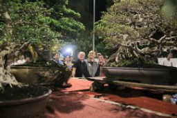 Festival Bonsai di Ngawi Diikuti Ratusan Peserta