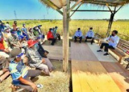 Fokus Peningkatan Produksi Pangan dan Kesejahteraan Petani