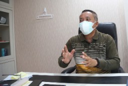 Hujan Deras dan Angin Kencang, Ratusan Pohon Tumbang