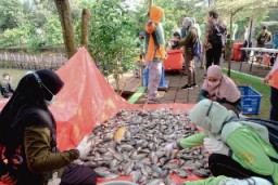 Terima Hasil Panen dari Pemkot Surabaya, Warga MBR: Alhamdulillah