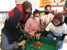 Kader Surabaya Hebat Dilatih Pengolahan Sampah Organik melalui Maggot