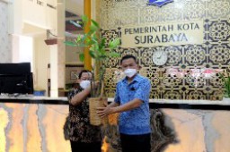 Dukung Konservasi Lingkungan, Pemkot Surabaya Terima 5000 Bibit Mangrove