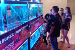 Surabaya Groomer Competition Bangkitkan Pecinta Louhan