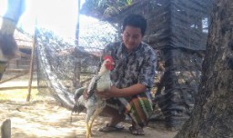 M. Zahdi Peternak Besar Ayam Gaok