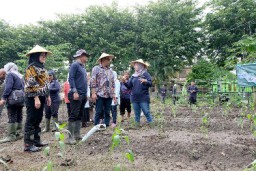 Pemkot Surabaya Tanam 1 Juta Bibit Cabai dan 4 Ribu Bawang Merah