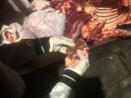 Pemkot Surabaya Temukan Daging dari Luar Kota Tanpa Dokumen Resmi