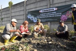 Pemkot Surabaya Tanam Cabai Serentak Bersana Kelompok Tani Se-Surabaya