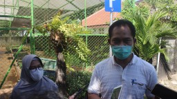 Budidaya Urban Farming Terus Diminati Masyarakat, Permintaan Bibit ke DKPP