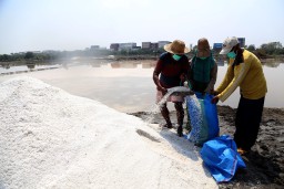 Ini Langkah Pemkot Surabaya Agar Kualitas Produksi Garam Petani Lebih Meni