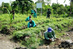 Wali Kota Risma Siapkan Program Kedaulatan Pangan Menghadapi Pandemi
