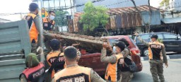 Satpol PP Surabaya Tertibkan PKL Gembong Kembalikan Fungsi Pedestrian