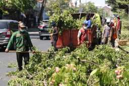Memasuki Musim Penghujan, DKRTH Surabaya Tingkatkan Kewaspadaan