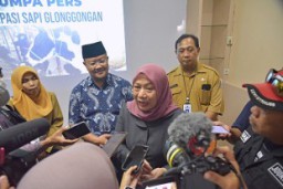 Pemkot Surabaya Perketat Pengawasan Peredaran Daging Gelonggongan