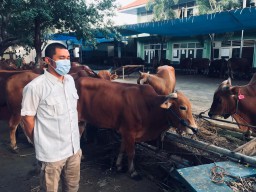 Jelang Hari Raya Idul Adha, RPH Pastikan Disiplin Protokol Kesehatan