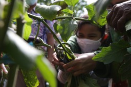 Risma Minta Warga Manfaatkan Hutan Kota