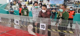 Cak Eri Minta UMKM Surabaya Ternak Bidang Pemerpatian