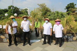 Pemkot Surabaya Terus Manfaatkan Lahan BTKD untuk Perkuat Ketahanan Pangan