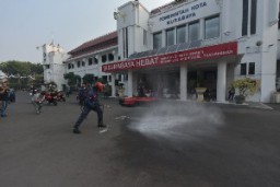 Surabaya Auto Fashion Oemkot Surabaya Pamer Walang Kadung