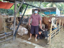 Tetap Optimis Meski Jualan Hewan Qurban saat PPKM