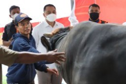Pemkot Surabaya Imbau Warga Tak Buang Limbah Hewan Kurban di Sungai