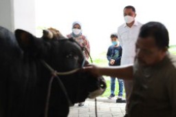 Wali Kota Eri Cahyadi Ingatkan Lagi, Jangan Buang Rumen di Sungai