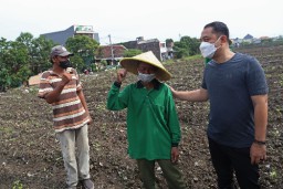 Pemkot Surabaya Manfaatkan Lahan BTKD Tambak Wedi untuk Urban Farming