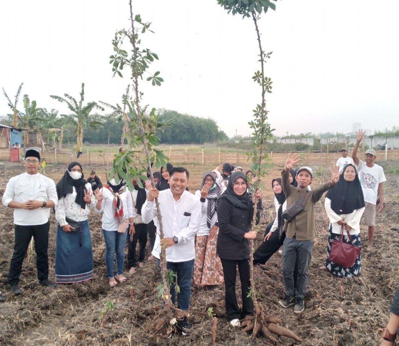 Hari Tanam Pohon Sedunia, BKN DPC PDIP Kota Surabaya Tanam Ratusan Pohon Pangan