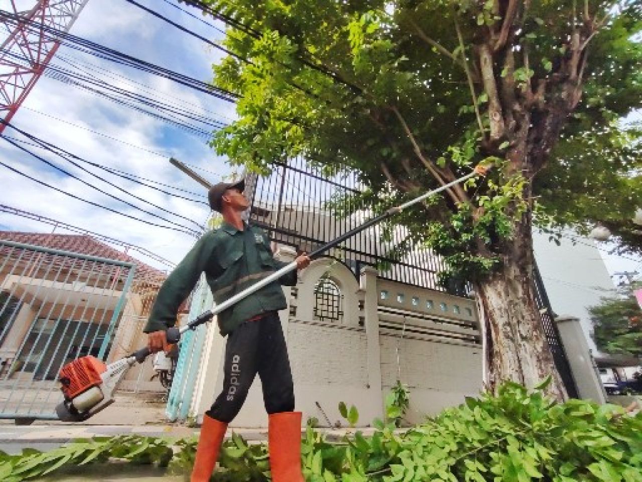 Pemkot Surabaya Rutin Lakukan Perantingan di Jalan Protokol dan Pemukiman