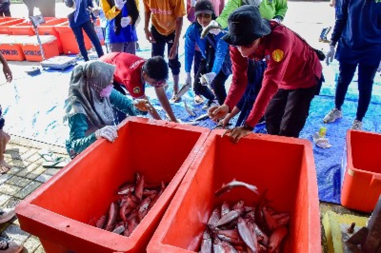 Budidaya Perikanan DKPP Surabaya Berbuah Manis, Panen Ikan Bandeng 588 Kg untuk Penanganan Stunting