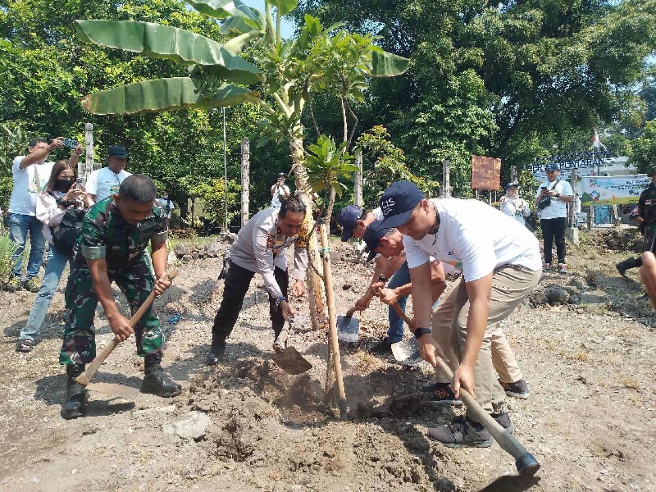 PDAM Surabaya Gandeng Jurnalis dan Konten Kreator Lakukan Penghijauan