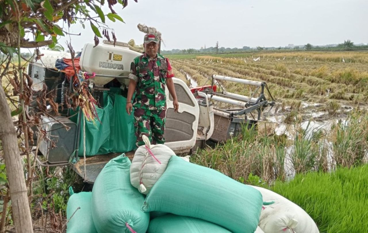 Serma Siswadi fampingi Petani di Morowudi, Gresik. (Pendim0817)