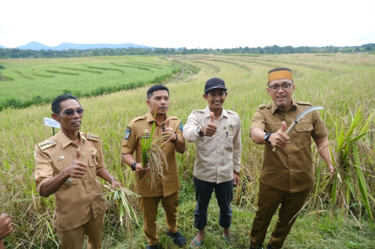 Bupati Jeneponto H. Paris Yasir dan Wakil Bupati Islam Iskandar, S.H., dalam kegiatan panen raya padi dan panen ikan air tawar. (Tim)