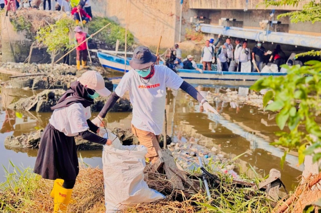Tanam 1.000 Bibit Mangrove, Kolaborasi Pemkot-WVI Jaga Kelestarian Lingkungan Pesisir Surabaya. (Kominfo Surabaya)