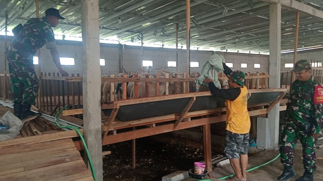 Babinsa Balongpanggang Anjangsana ke Peternakan Kambing Milik Warga Dorong Produktivitas Ternak