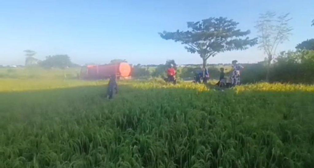 Salah satu sawah din Kareloe (Humas Kabupaten Jeneponto}