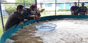 Melalui Jabu Dekke Dongkrak Nilai Ekonomi Produk Perikanan