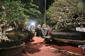 Festival Bonsai di Ngawi Diikuti Ratusan Peserta