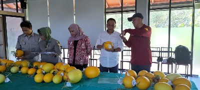 Anas Karno (baju putih) saat berkunjung di Kebun Raya Mangrove./ Foto: tim