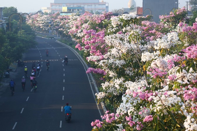 Lampaui Target Pemerintah Pusat, Ruang Terbuka Hijau di Surabaya Capai 22 P