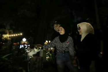 Trial Opening Surabaya Night Zoo, Wali Kota Eri Cahyadi: Amazing!